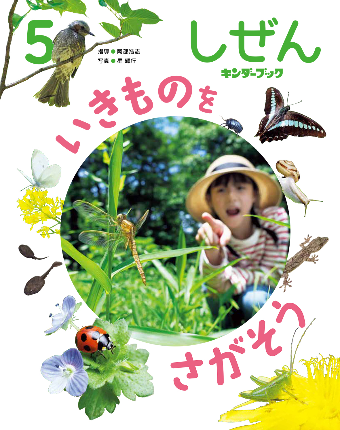 しぜんキンダーブック2025年5月号／いきものをさがそう