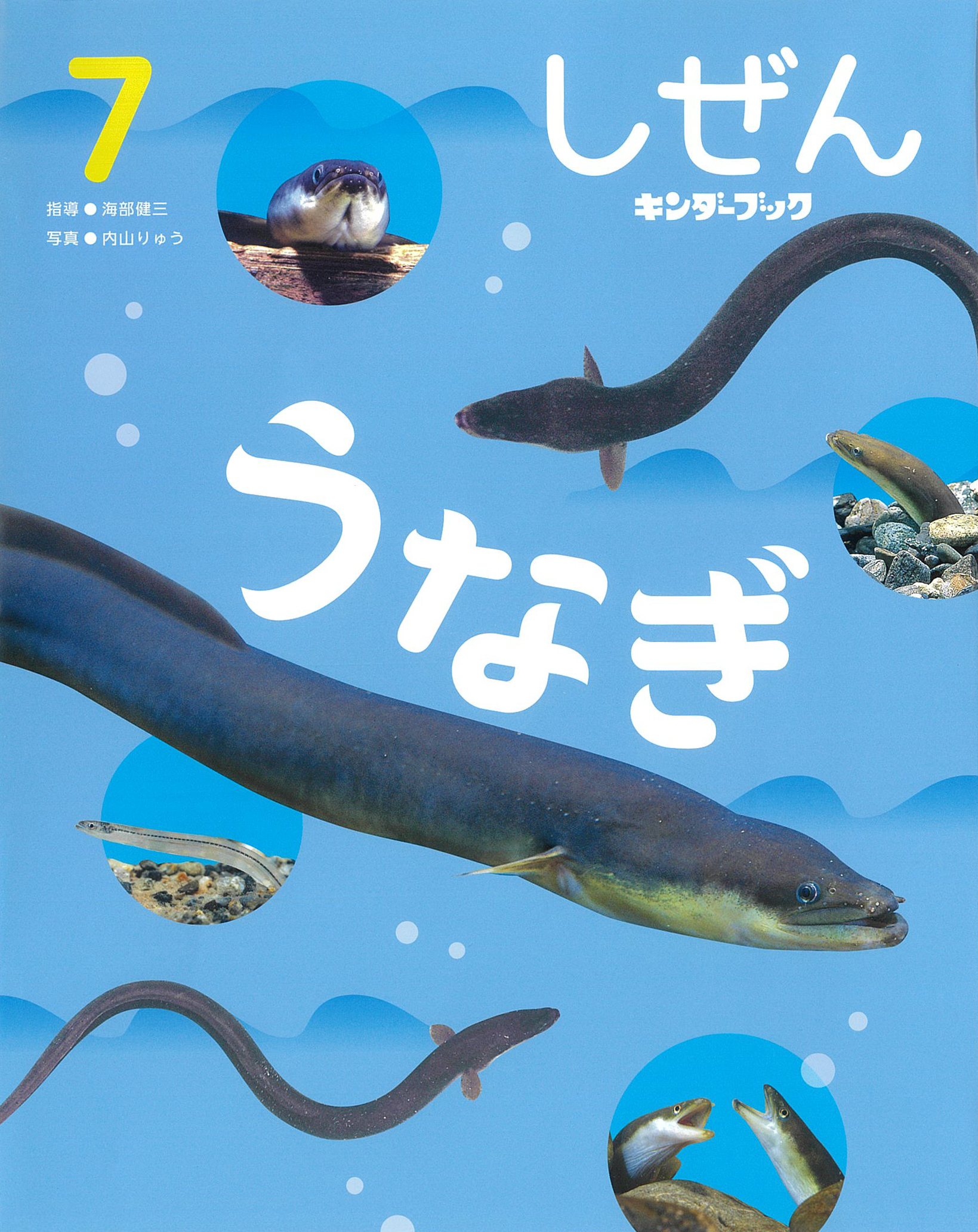 しぜんキンダーブック2025年7月号／うなぎ