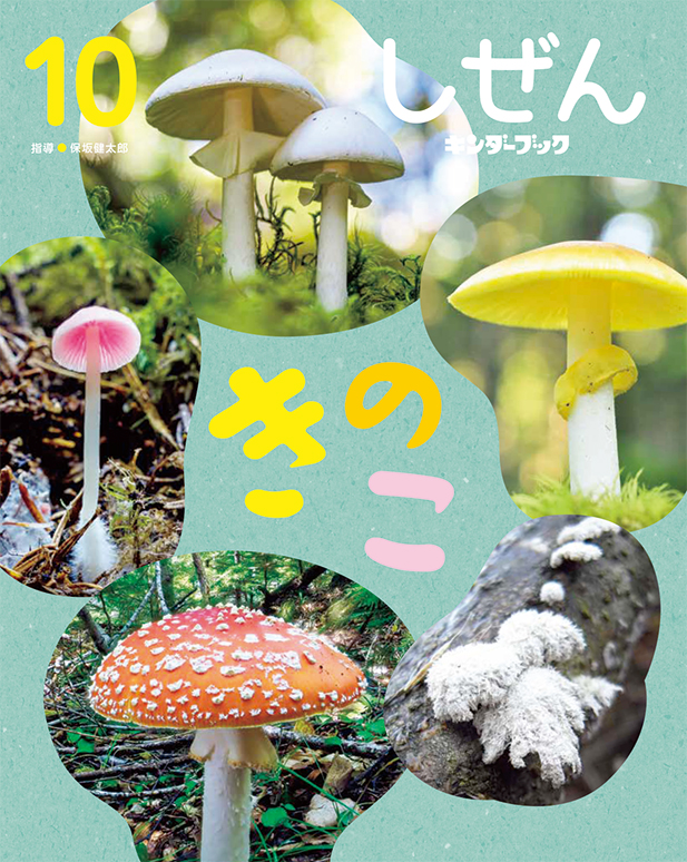 フレーベル館】通販サイト｜商品検索(並び順：おすすめ)