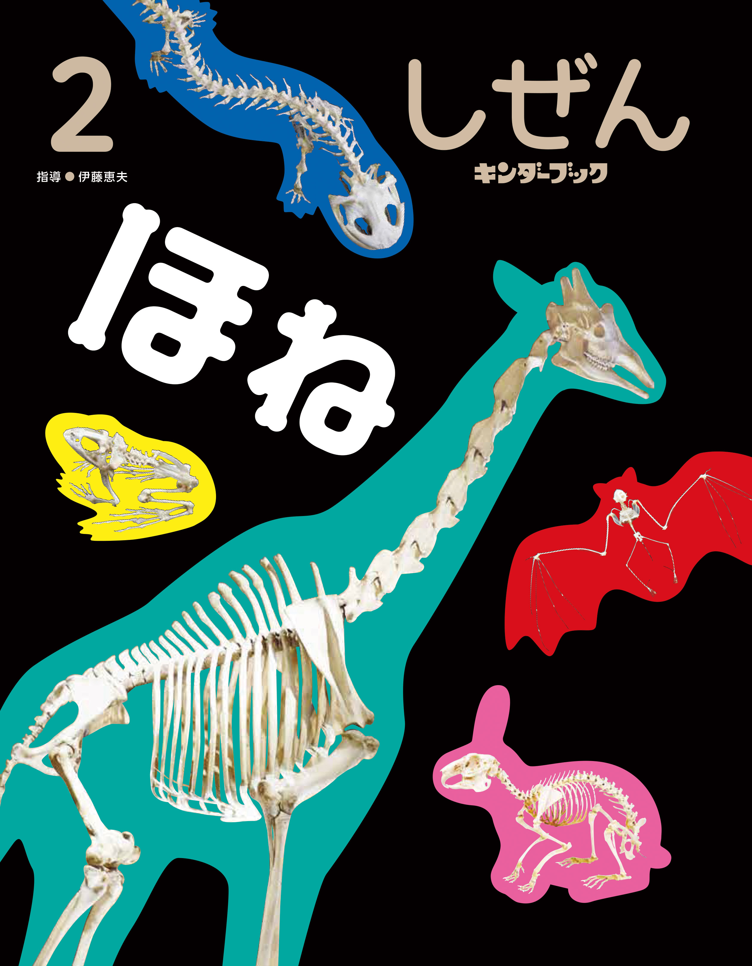 しぜんキンダーブック2026年2月号／ほね