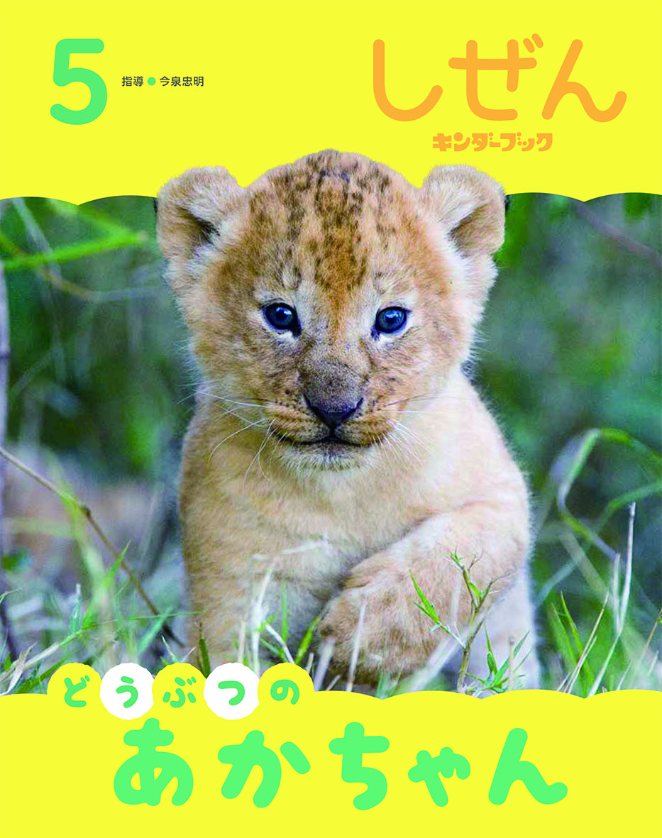 しぜんキンダーブック2026年5月号／どうぶつの あかちゃん