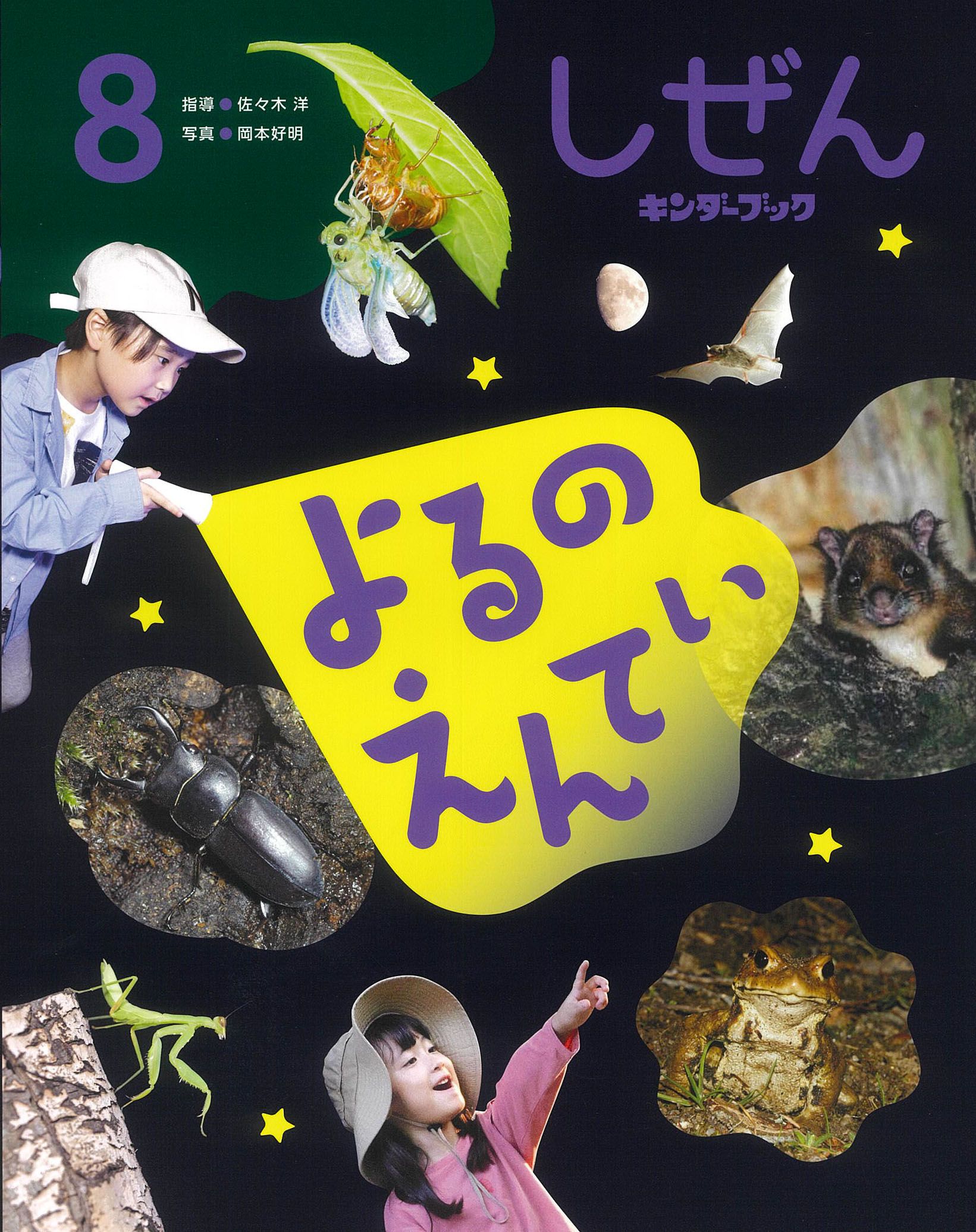 しぜんキンダーブック2026年8月号／よるの えんてい