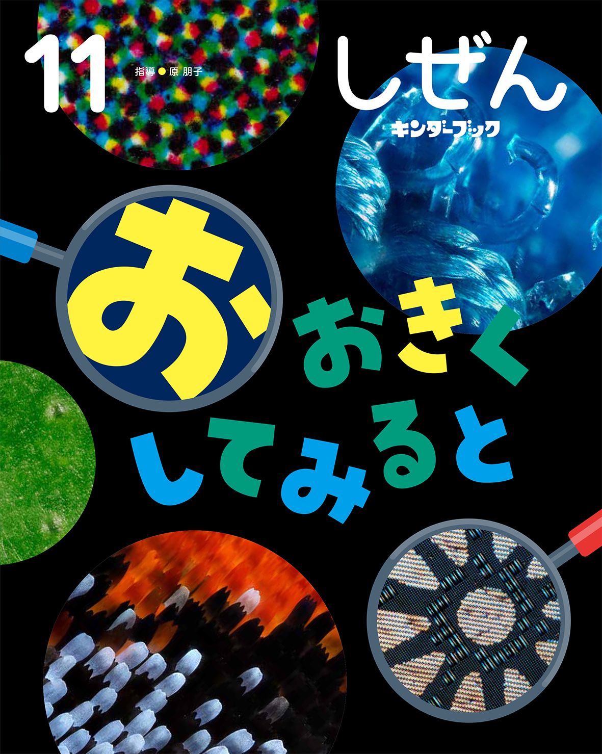 しぜんキンダーブック2026年11月号／おおきくしてみると