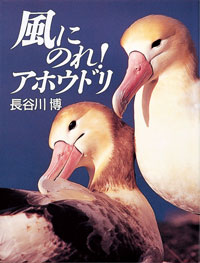 風にのれ! アホウドリ