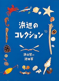 浜辺のコレクション