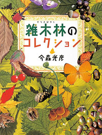 雑木林のコレクション