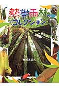 熱帯雨林のコレクション