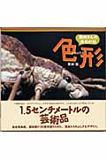 栗林さんの虫めがね 4 色形