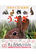 うさぎ