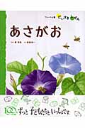 しょくぶつ 2 あさがお