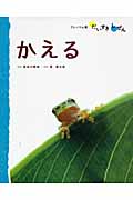みずのいきもの 1 かえる