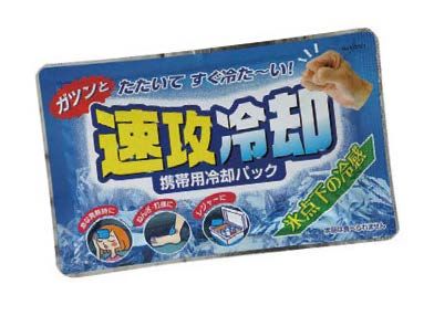 速攻冷却（120g×100個入）